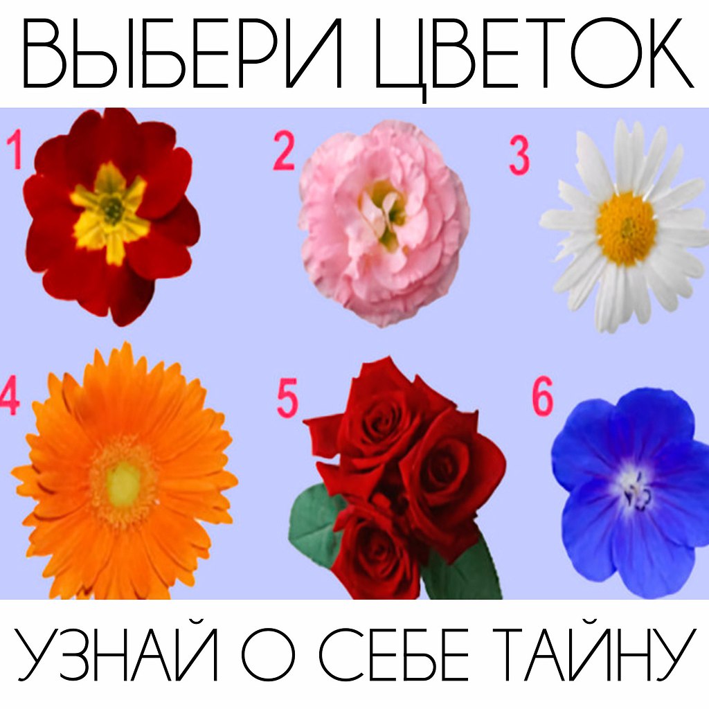 Узнай о себе тайну.Жми на фото и пиши номер в комментариях.Ответы:Цветок № 1Ты даже не ...