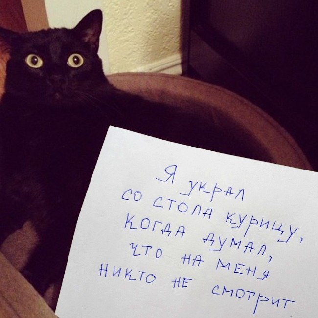 9 ������ �������� ������ ����-��������: - 5