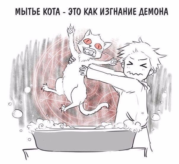  - 19  2017  10:45