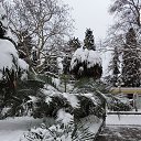  , , 60  -  3  2017     ,28.01.17.