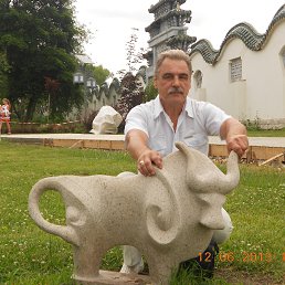 ��������, ����, 64 ����