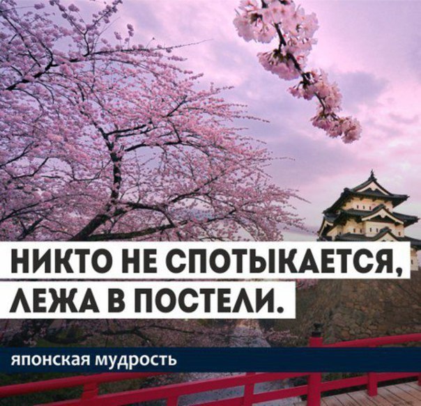 Японская мудрость. 35 ключевых фраз. 1. Уступай дорогу дуракам и сумасшедшим. 2. Женщина захочет — ...