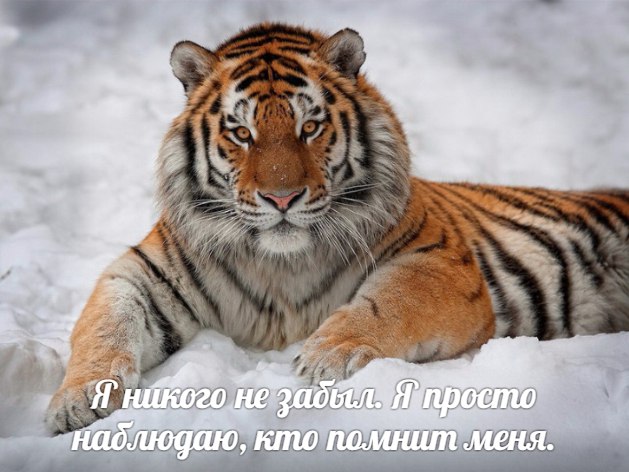 .https://fotostrana.ru/away?to=/sl/kxC2 - 5  2016  17:45
