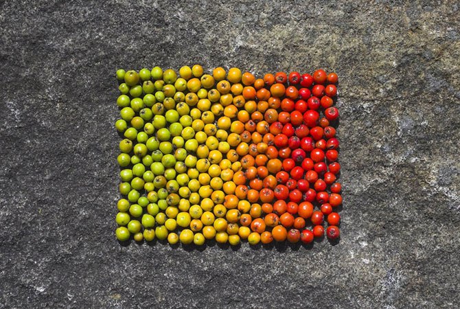 ))).  - - ( . land art  -)    , ... - 19