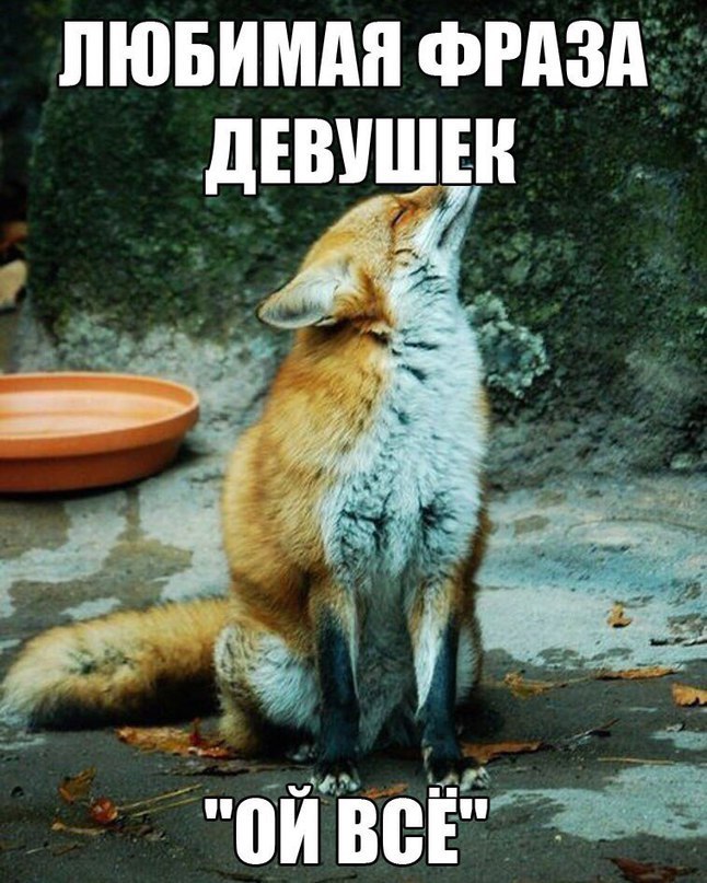     - 20  2017  22:01