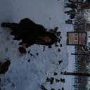 ���� ����, ����� - ��������� 12 ������� 2016 � ������ ������ ��������