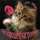 ���� Semki Stas, ��������, 42 ���� - ��������� 20 ������ 2016 � ������ ���� ����������