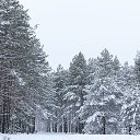  ,  -  7  2017    