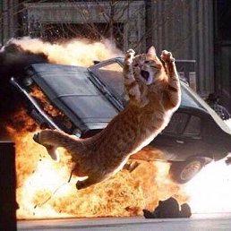 ���, ��������, 26 ���