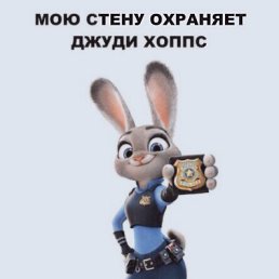 ���� ���💯, ��������, 49 ��� - ��������� 21 ������� 2016