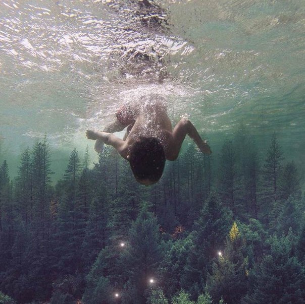   ,    ,  .     ,   ...