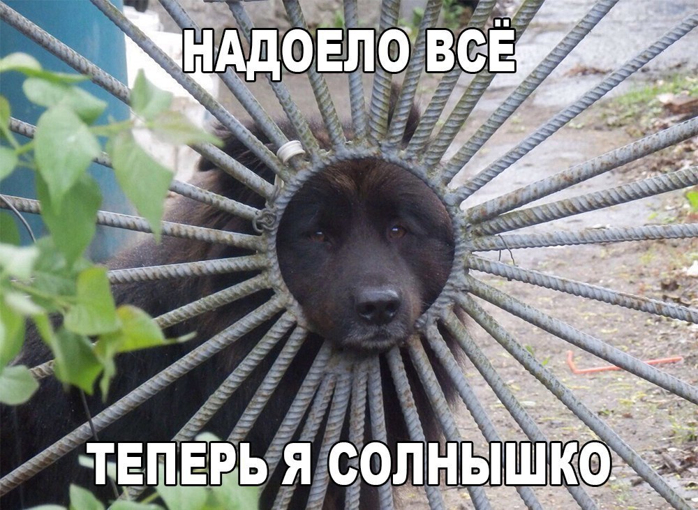    :D - 8  2016  12:15