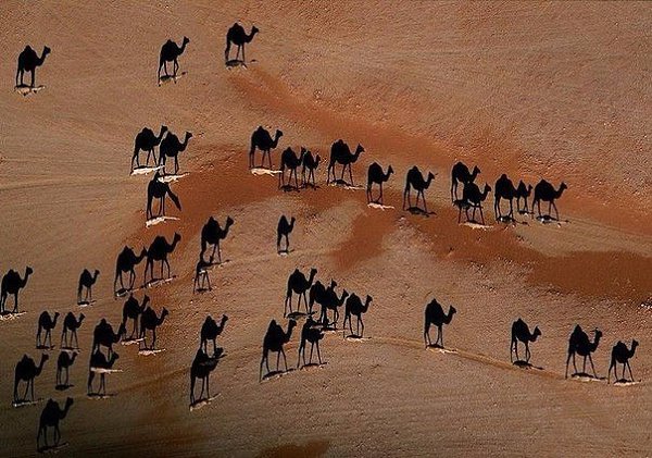 10 фотографий без фотошопа, где реальность граничит с иллюзией - 10