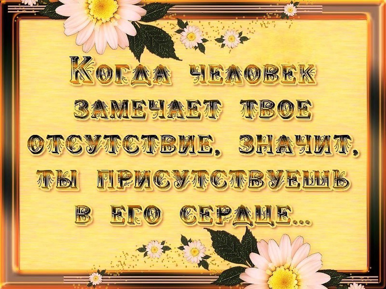   - 14  2016  22:59