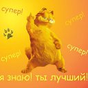���� �����, ������ - ��������� 10 ����� 2017 � ������ ���� ����������