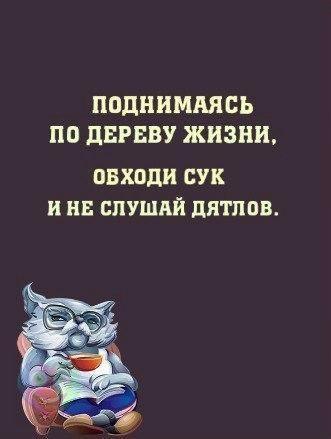   - 1  2016  16:42