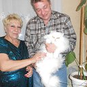 ���� ����, �������������� - ��������� 1 ������ 2017 � ������ ������ ���-2017�