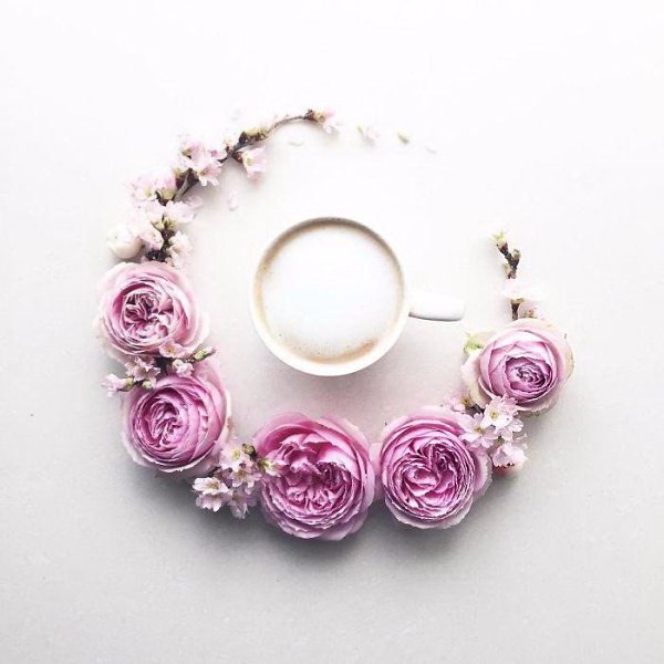     La Fee De Fleur - 5