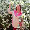 ���� �������, ������, 71 ��� - ��������� 24 �������� 2016 � ������ ���� ����������