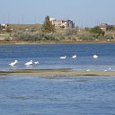 ���� ������, ������, 44 ���� - ��������� 7 ������� 2016 � ������ ���� ����������