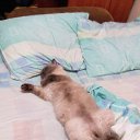 ���� ����, ������, 61 ��� - ��������� 23 ������� 2017