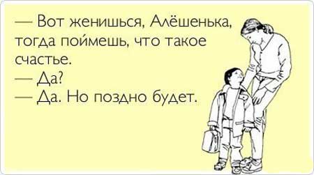  . - 21  2017  15:41 - 3