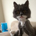 ���� �����, ������ - ��������� 31 ������� 2016 � ������ ���� ����������