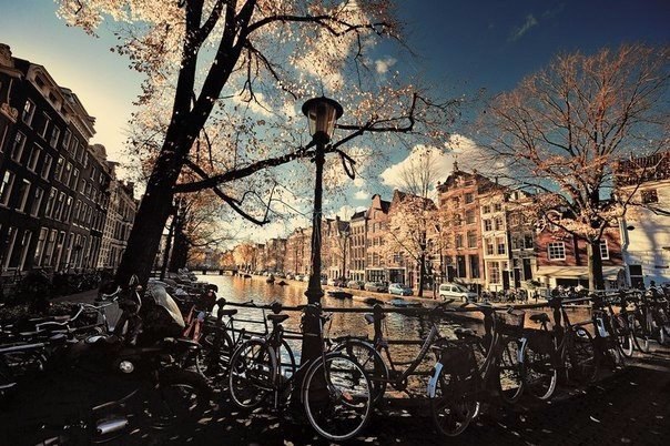 , .#@travel.blog - 2