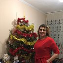 ���� �����, �����-���������, 51 ��� - ��������� 5 ������ 2017 � ������ ���� ����������