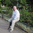  , , 83  -  8  2016    2016.