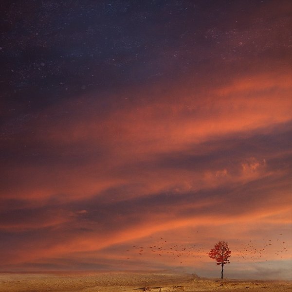   ,    . 1. appear   [p] 2. be late   [bi ...