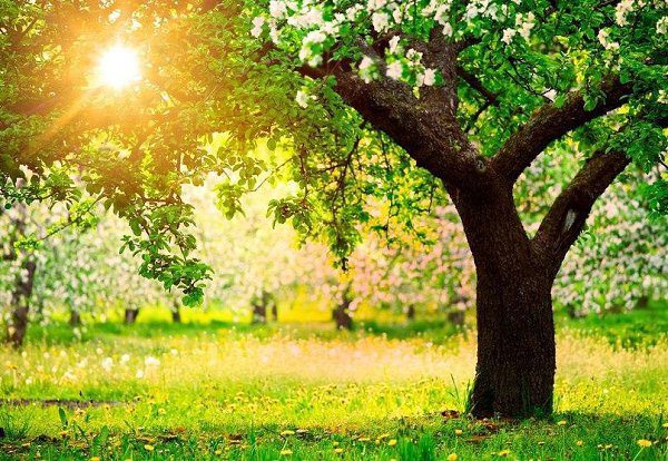 Говорят, что сплетники, обсуждая человека, забирают его грехи. Спасибо вам! Теперь мне можно жить ... - 5