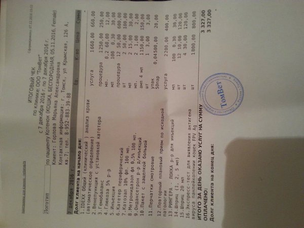 7 декабря были на приеме сделали тест на панклейкопению ( чума кошек) тест оказался положительным. Я ...