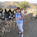 ������ �� ������� �� ������� ���� ����������