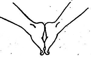 ����������, ������������� ����� � ������������� � ���� �������� �������. 1. ���������� 