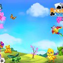 ���� ���, ���������, 68 ��� - ��������� 13 ����� 2017 � ������ �������� �������-�������