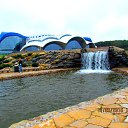 ���� Anatol, ������� - ��������� 5 ������� 2016 � ������ �����������. �. �������. �����������.�