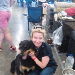 ���� Ni, ���������, 64 ���� - ��������� 13 ������ 2017