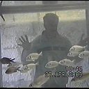  , , 82  -  23  2017   2003 1 .