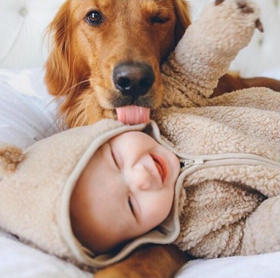    .#animal@travel.blog