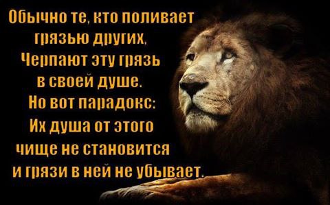 Aldona - 10  2016  22:42