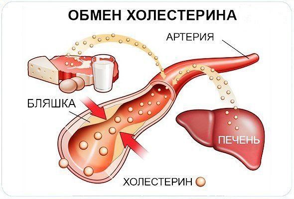 Уровень холестерина можно снизить без проблем! Льняное семя для снижения холестерина. Понизить ...