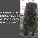 ���� ���������, ������, 70 ��� - ��������� 31 ������ 2017 � ������ �������,�����!�