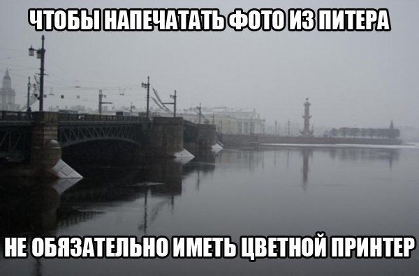    - 3  2017  16:53