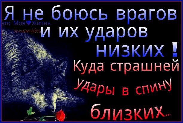 Держи друзей близко а врагов еще ближе. Статусы про врагов. Бойся близких не врагов. Я не боюсь врагов и их ударов. И врагов не надо.