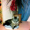 ��� ������. �� ������� ���� ����������