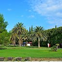 ���� ������, ��������, 62 ���� - ��������� 21 �������� 2016 � ������ ���� ����������