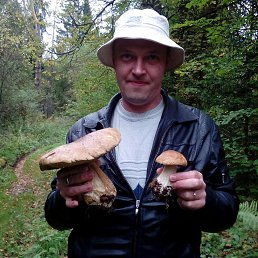 ��������, ������, 49 ���