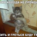 ���� ������, ��������, 53 ���� - ��������� 30 ������ 2016 � ������ ���� ����������