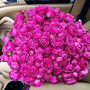 ���� Mari, ���� - ��������� 28 ������� 2016 � ������ ���� ����������